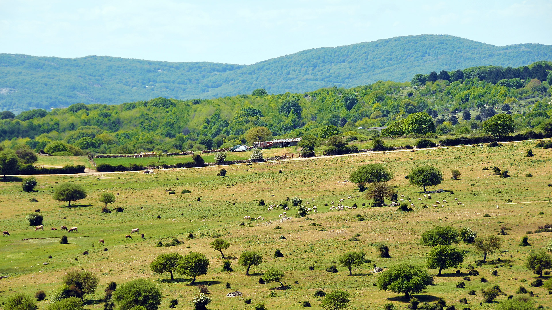 paesaggio rurale