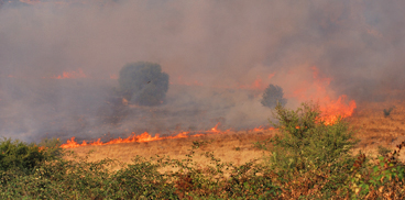 Incendio Montiferru