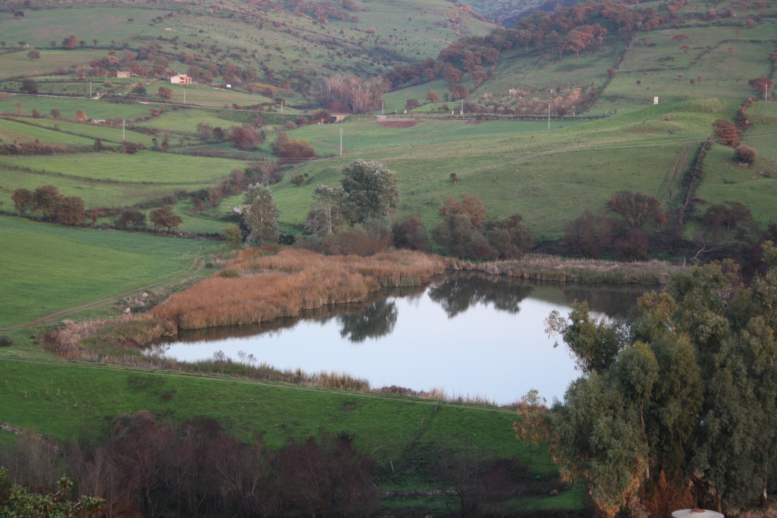 Lago collinare 3
