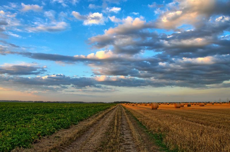 campo-per-carbon-farming